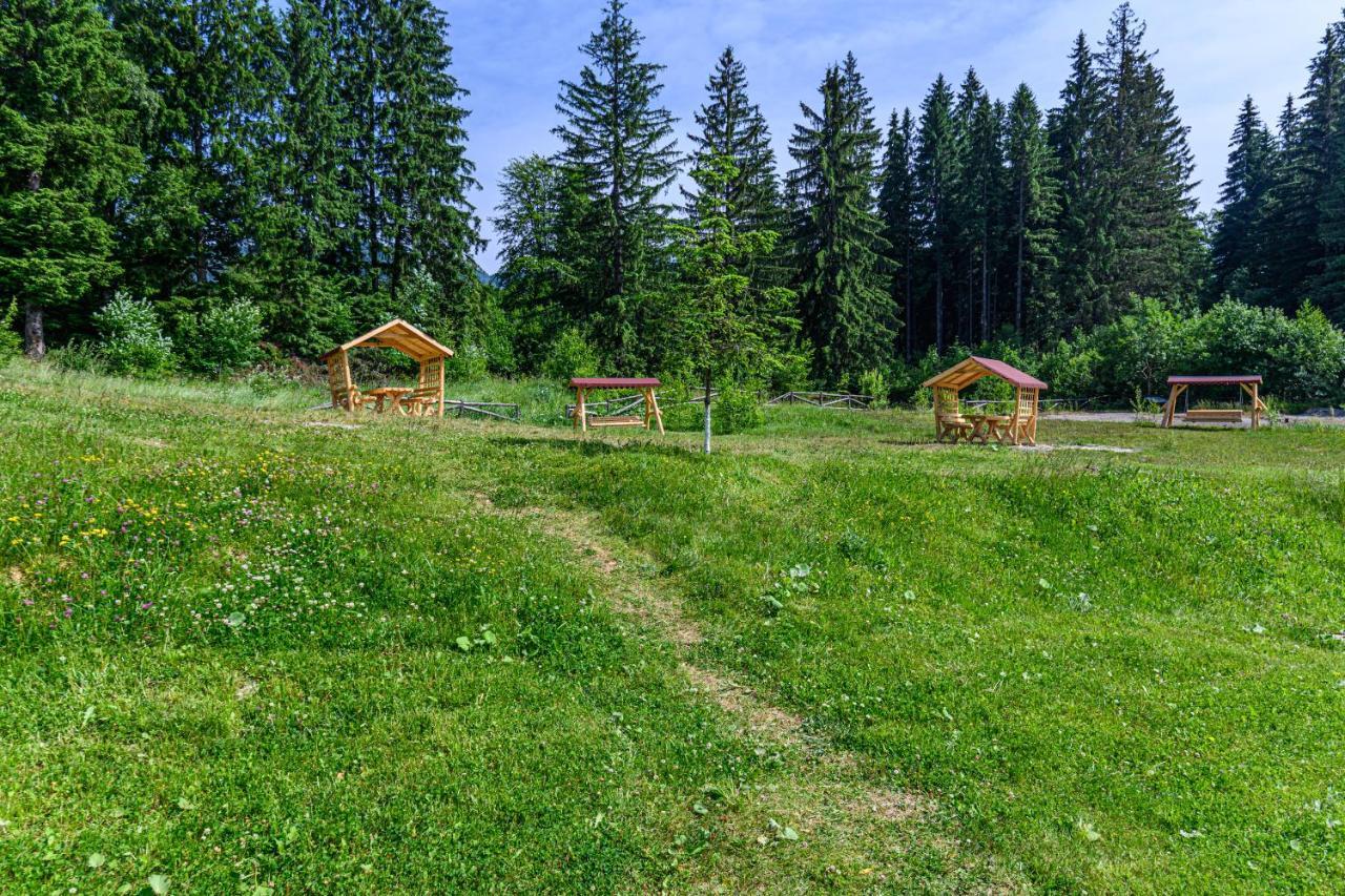 Pine Woods Studio D113 In Silver Mountain Пояна-Брашов Экстерьер фото